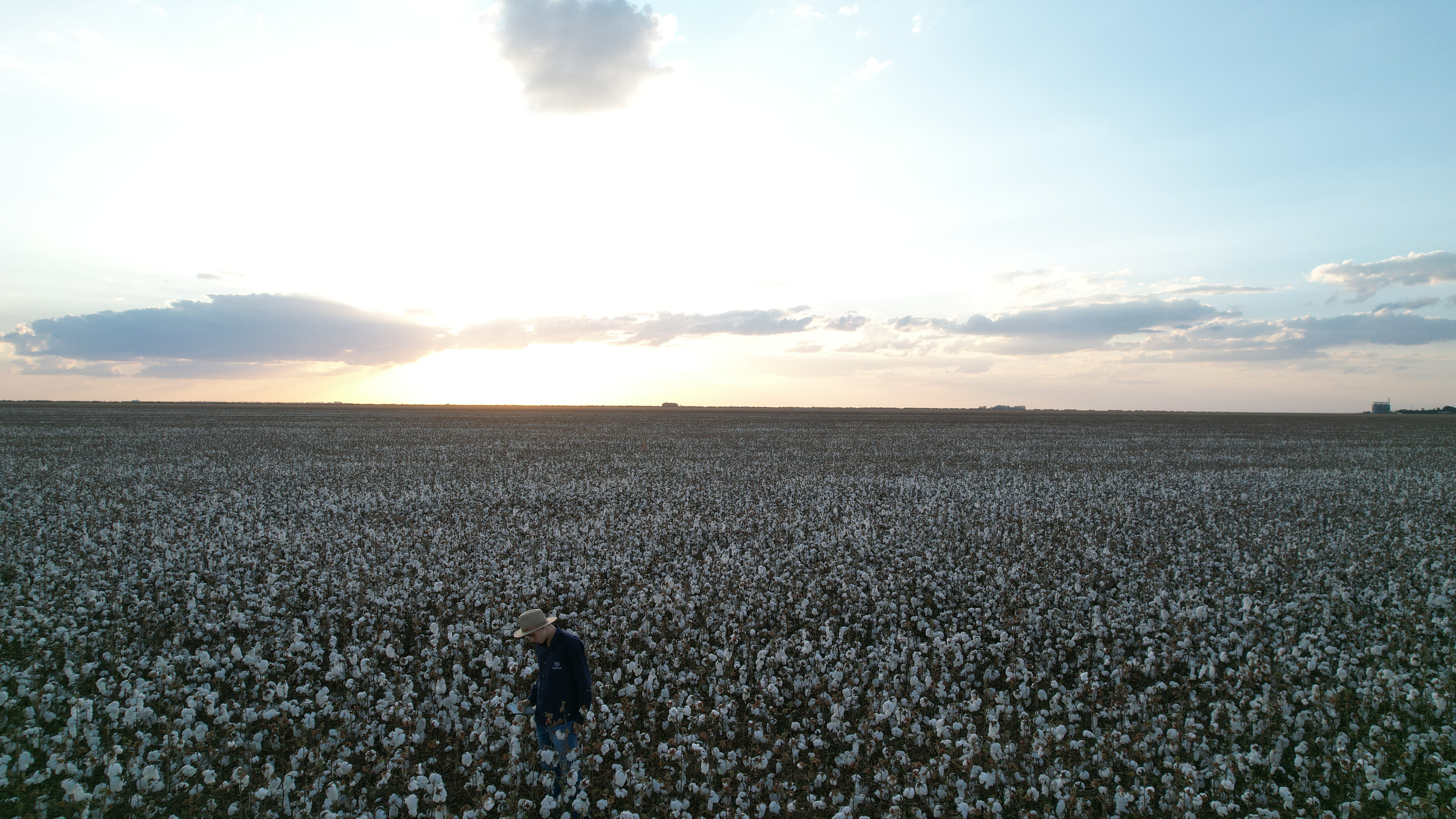 Gestão de propriedade rural